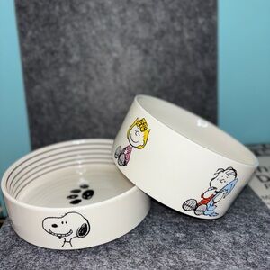 Peanuts Dog bowl Set (2)